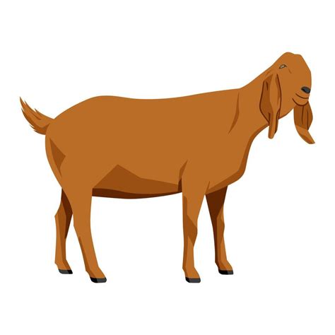 Goat vector illustration isolated on white background. Farm animal. Brown 21990219 Vector Art at ...