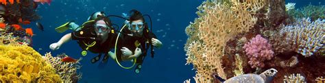 10 Best Scuba Diving Spots in Krabi (Thailand) | Diving at Ao Nang