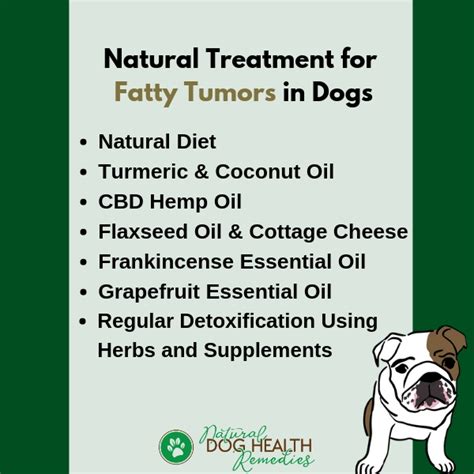 Fatty Tumors in Dogs - Causes and Natural Treatment