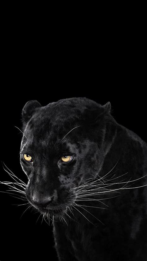 Black Panther Wallpaper for iPhone