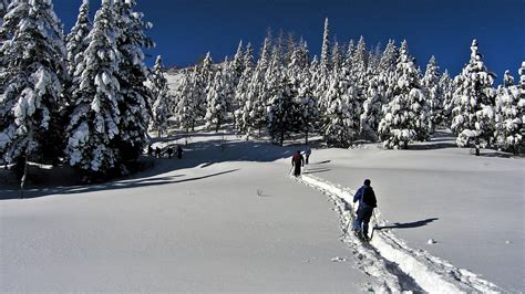 Snowshoeing Idaho Style | Visit Idaho