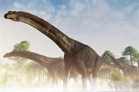 Dinosaur found in Argentina may be largest land animal ever : r/argentina