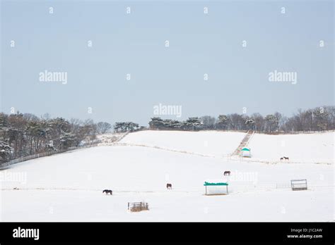 a wintry landscape Stock Photo - Alamy