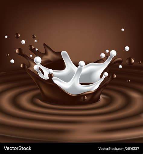 Splash of chocolate and milk Royalty Free Vector Image