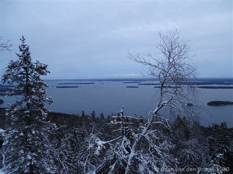 Visiting Koli National Park at the Start of Winter - Daan van den Broek