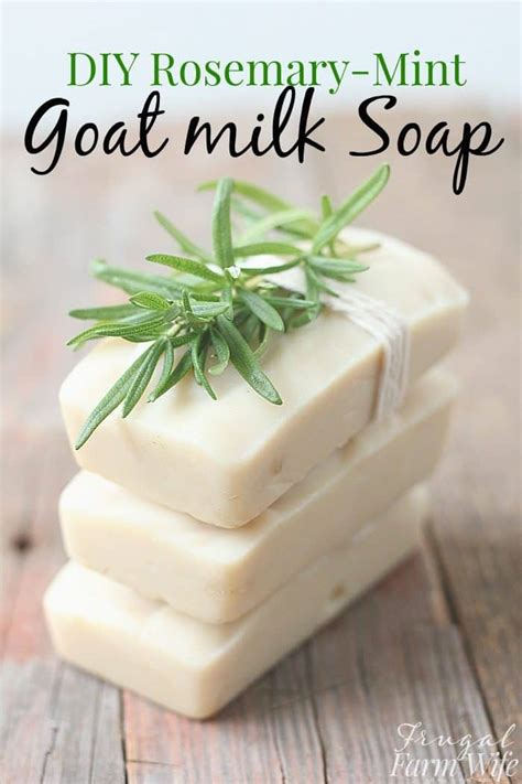 Goat Milk Soap Recipe Without Lye | Besto Blog