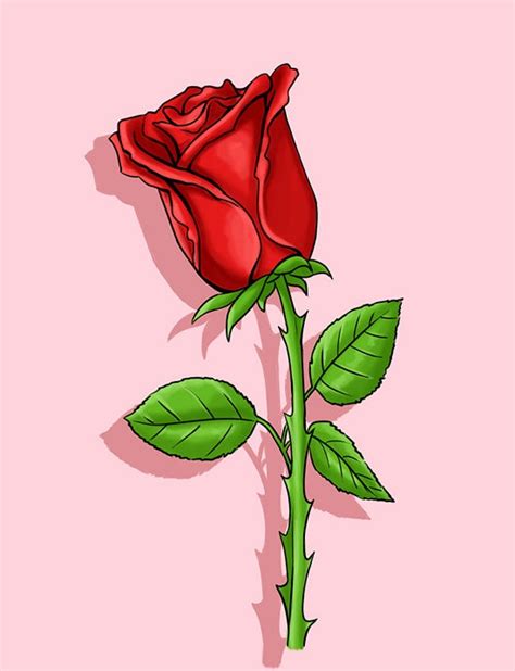 How to Draw a Rose | Roses drawing, Flower drawing, Cartoon rose