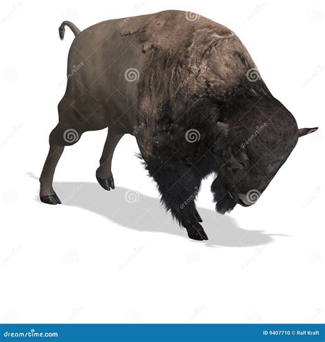 Wild West Bison stock illustration. Illustration of wild - 9407710