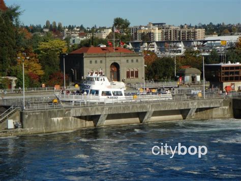 10 BEST Things at Ballard Locks - Free Entry, Salmon Viewing, History