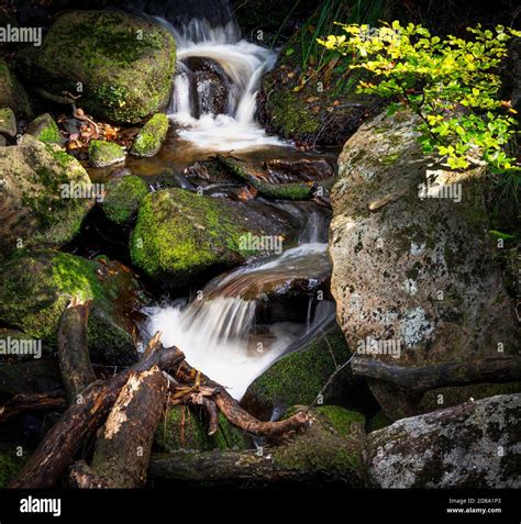 Waterfalls Padley Gorge Peak District Derbyshire England,UK Stock Photo ...