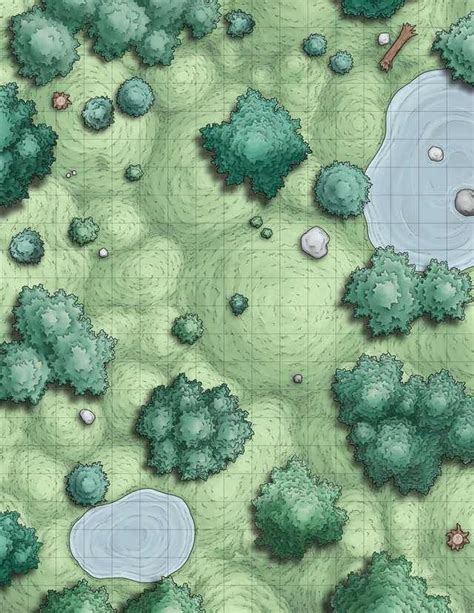 Map Examples - Imgur | Forest battle map, Fantasy map, Map assets