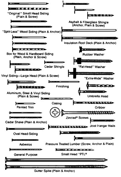 Types of Nails and screws | Screws and bolts, Nails and screws, Woodworking