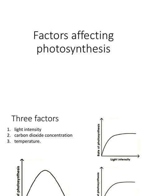 Factors Affecting Photosynthesis | PDF