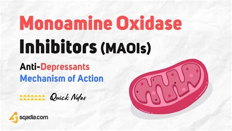 Anti-depressants Mechanism of Action - Monoamine Oxidase Inhibitors (MAOIs)