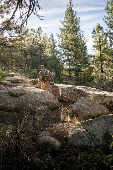 "Elk Hunting In Colorado" by Stocksy Contributor "Terry Schmidbauer ...