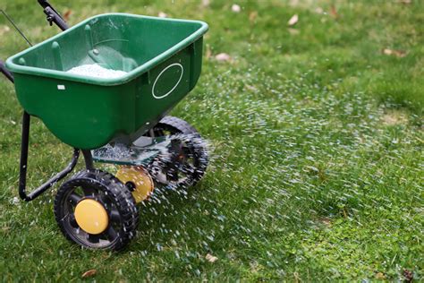 Fall Lawn Care and Fertilization Tips