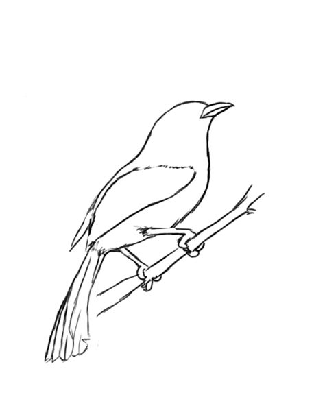 Simple Easy To Draw Birds