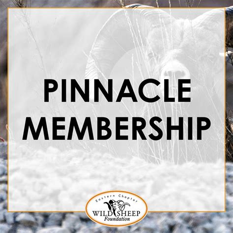 Pinnacle Membership | Eastern Chapter Wild Sheep Foundation