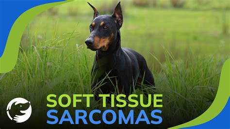 Soft Tissue Sarcomas