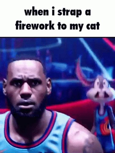 Firework Cat GIF - Firework Cat Fireworks - Discover & Share GIFs