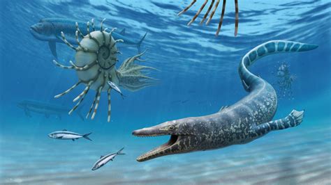 94 million-year-old fossilized sea monster is the oldest of its kind in ...