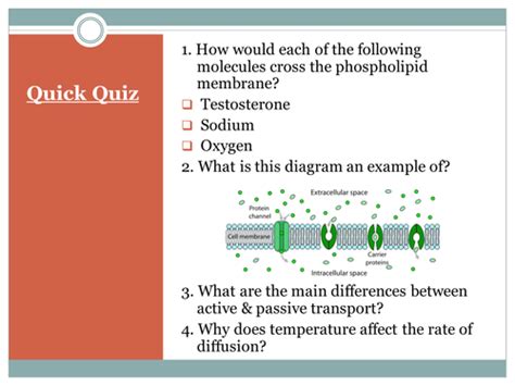 Active transport processes | Teaching Resources