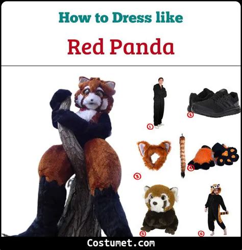 The Red Panda Costume for Cosplay & Halloween