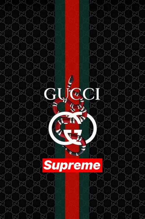 Download Gucci Supreme Logo On A Black Background Wallpaper | Wallpapers.com