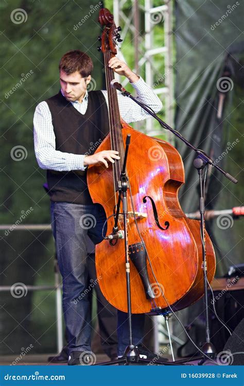 Contrabass player editorial stock photo. Image of hand - 16039928