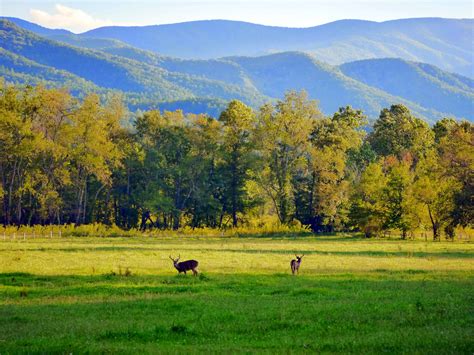 American Travel Journal: Cades Cove - Great Smoky Mountains National Park