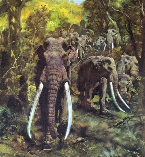 Prehistoric animals, Prehistoric wildlife, Elephant