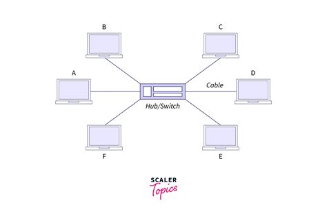 Network Topology - Scaler Topics