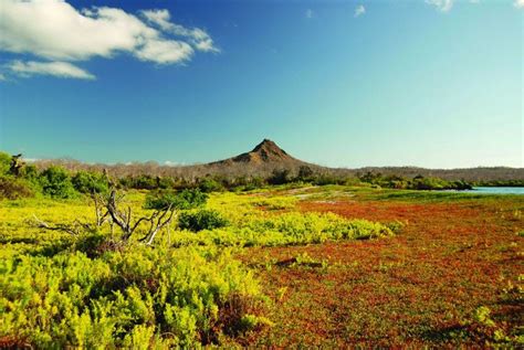 Cruise to Galápagos Brings you Close to the Nature | Silversea