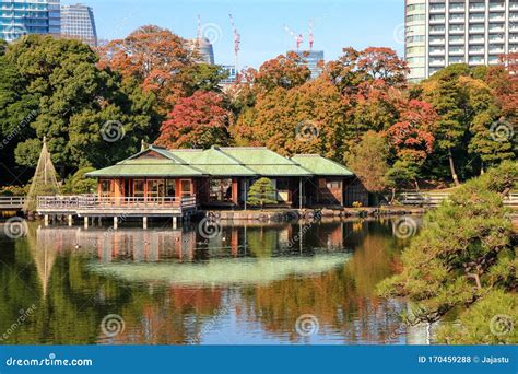 Peaceful, Quiet, Colorful Shinjuku Park, Japan Stock Photo - Image of ...