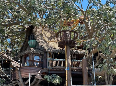 Adventureland Treehouse Scaffolding Down at Disneyland