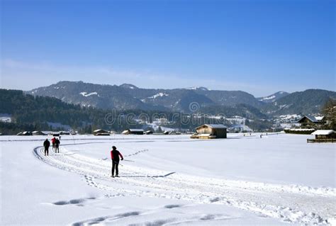 Cross Country Skiing Oberstdorf Stock Photo - Image of winter, snow: 29831468