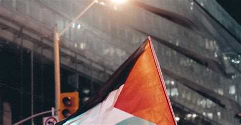 People Holding Palestine Flags on a Demonstration · Free Stock Photo