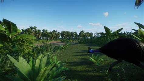 southern cassowary habitat on island : r/PlanetZoo