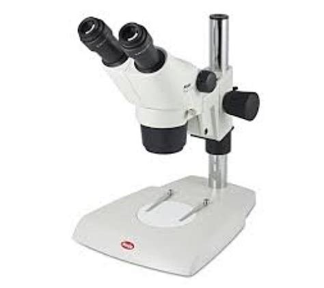 Stereo Microscope