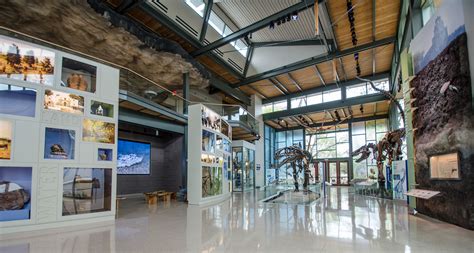 The Witte Museum: Dinosaur Gallery :: Behance