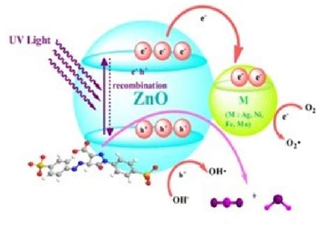 Photodegradation mechanism of MB dye by transition metal-doped ZnO [25] | Download Scientific ...