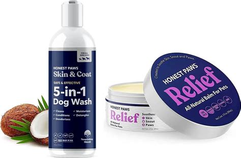 best dog shampoo for itchy skin - Dogshunter