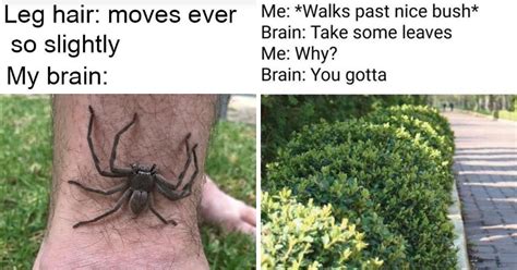 28 Brain Memes That Prove Everyone's Brain Is A Little Weird