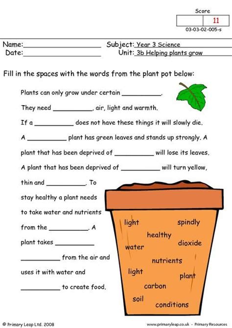 PrimaryLeap.co.uk - How do plants grow Worksheet | 7th grade science ...