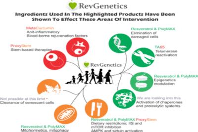 The Hallmarks of Aging & Interventions | The Hallmarks of Aging Cell