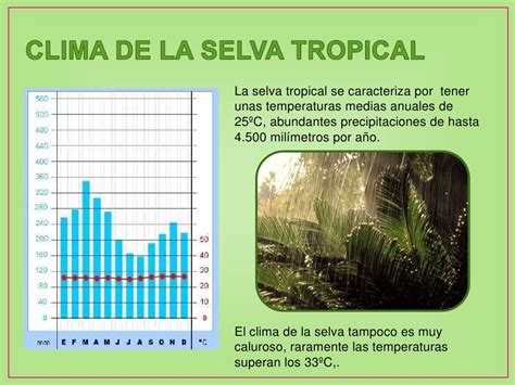 La selva tropical