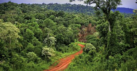 Misiones entre las 5 provincias certificadas como destino seguro del ...