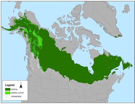 Frontiers | The State of Conservation in North America’s Boreal Forest: Issues and Opportunities