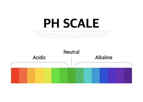 el ph escala universal indicador ph color gráfico diagrama. vector ...