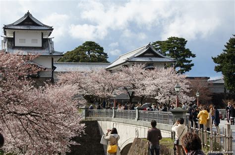 Kanazawa Castle - The Park Adorned With Sakura